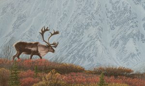 Ridge Runner original acrylic painting by Clinton Jammer Canadian Wildlife Artist