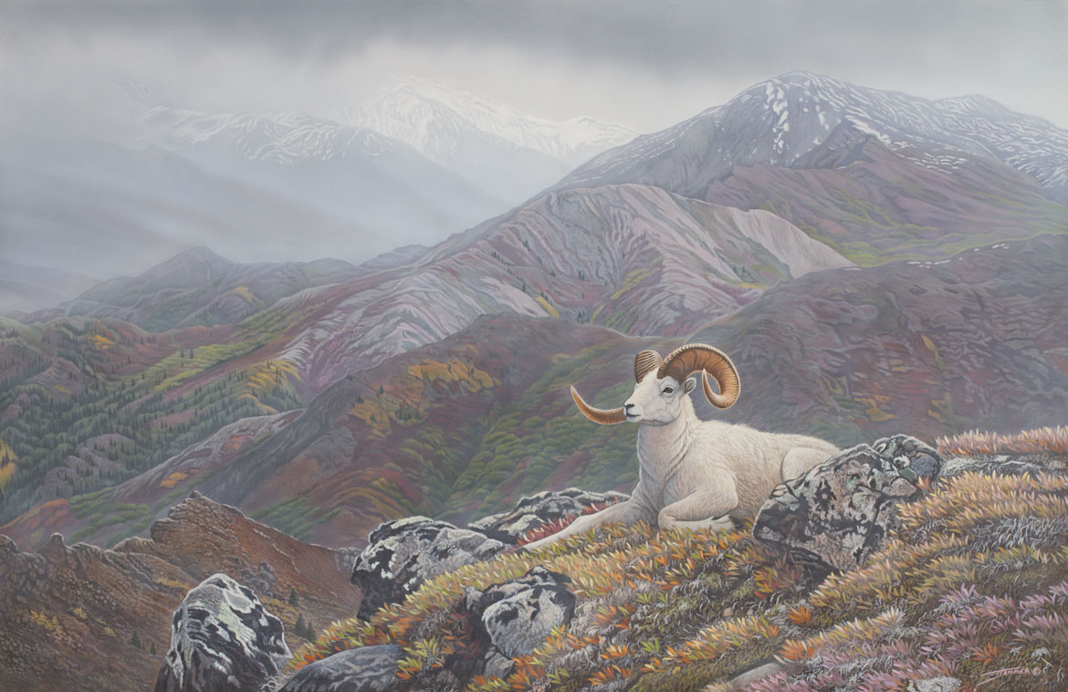 Denali's Pride original acrylic painting by Canadian Wildlife Artist Clinton Jammer