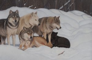 The Brotherhood original wildlife painting by Wildlife Artist Clinton Jammer